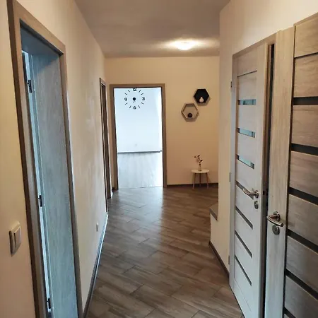 U Frysavky Apartment *