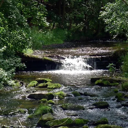 Daire U Frysavky Fryšava